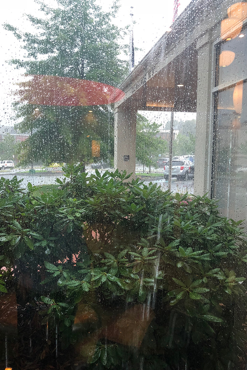 The Rain in Maine