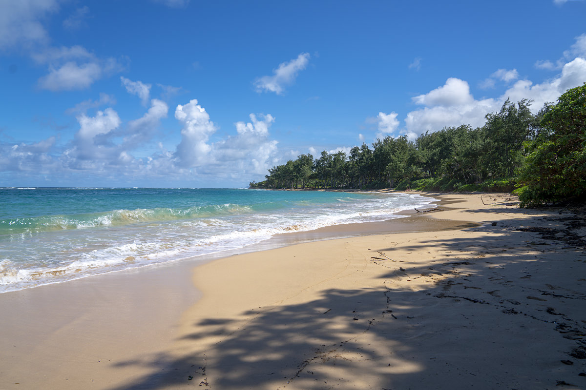 Oahu North Shore Beach