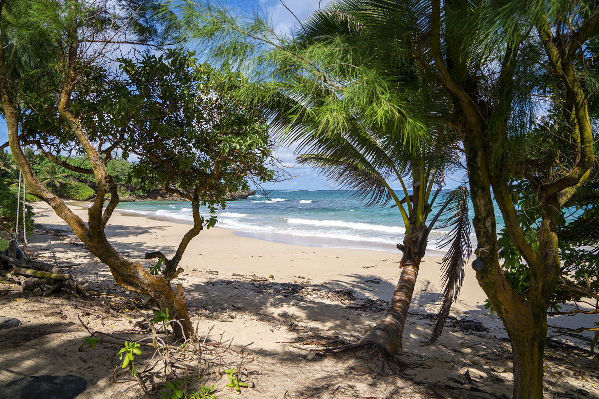 Oahu North Shore Beach