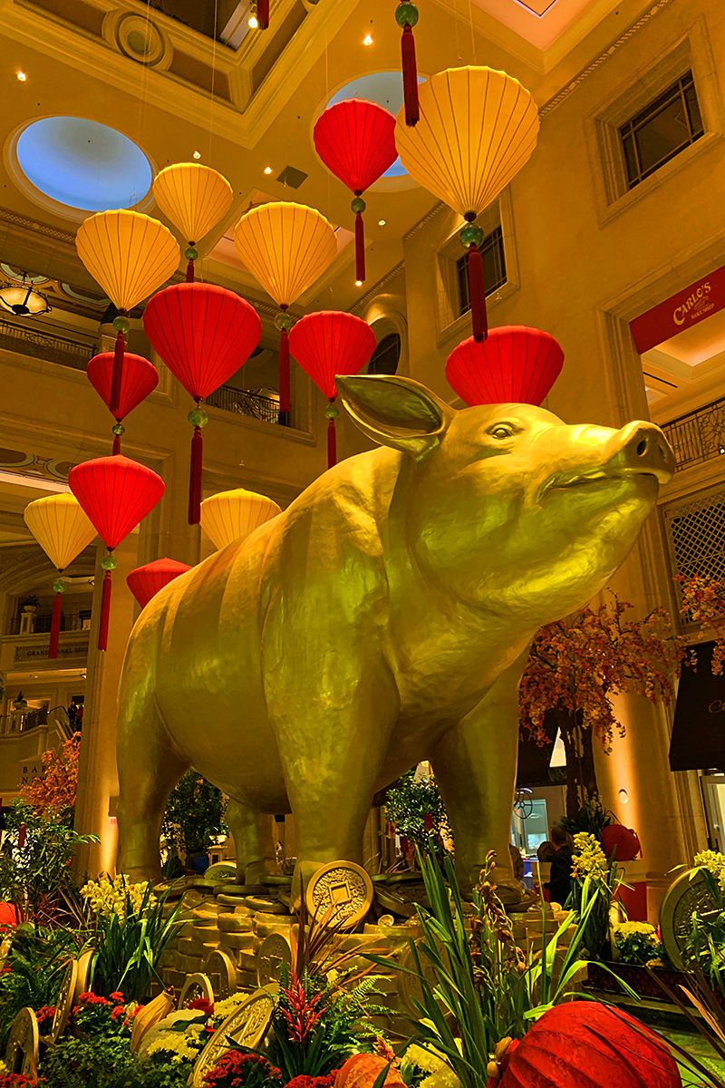 Chinese New Year at the Venice Hotel