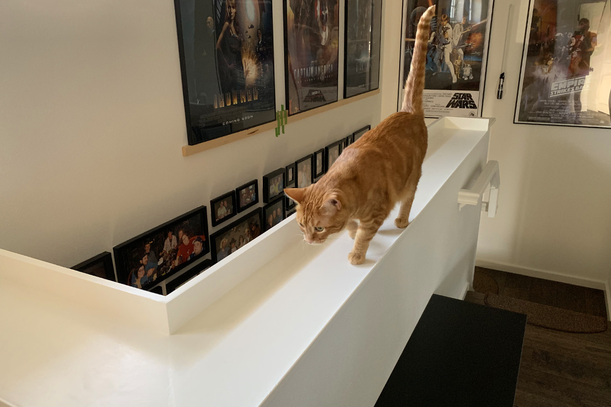 Cat Banister Tray Installed!