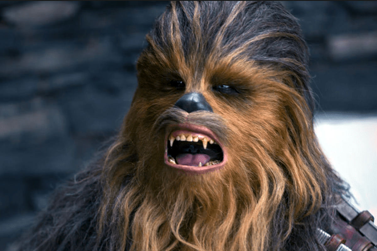 Peter Mayhew as Chewbacca!