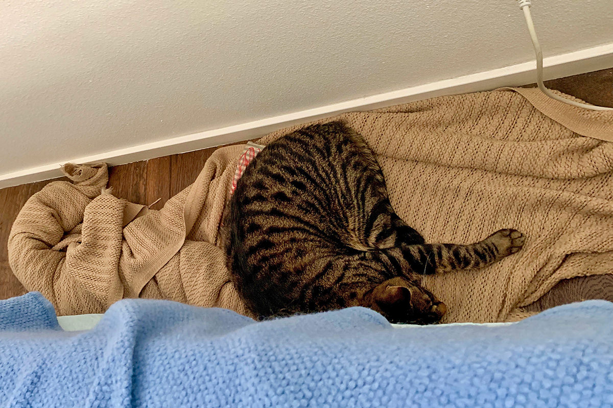 Jenny On the Banister