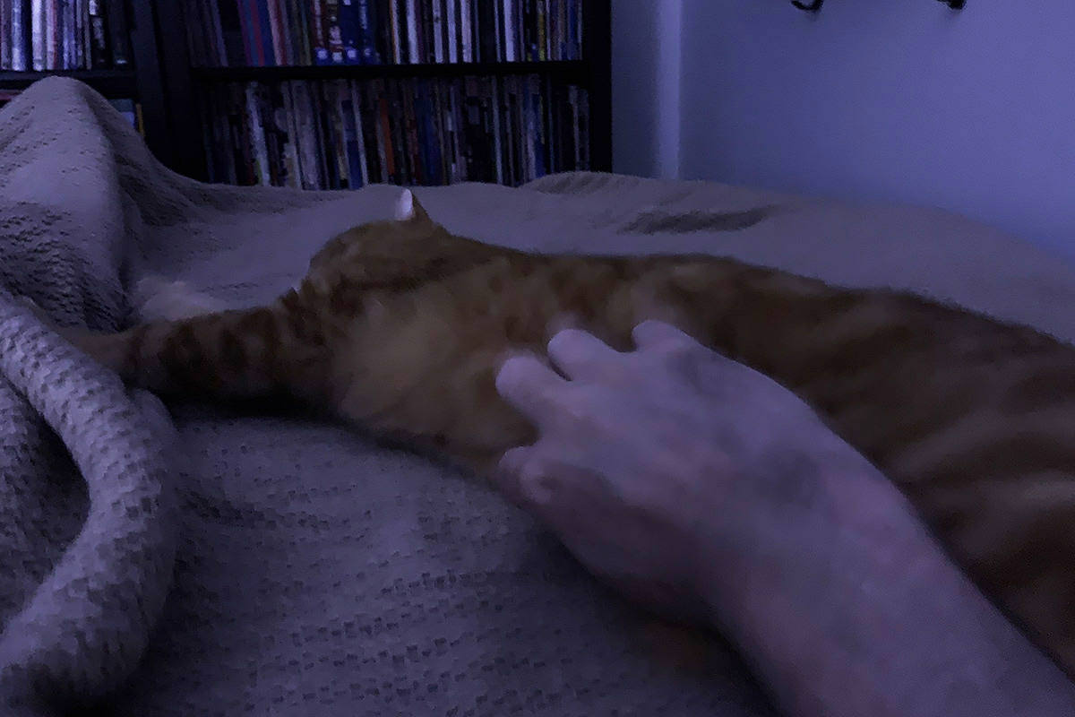 Jenny Tummy Rubs at Midnight