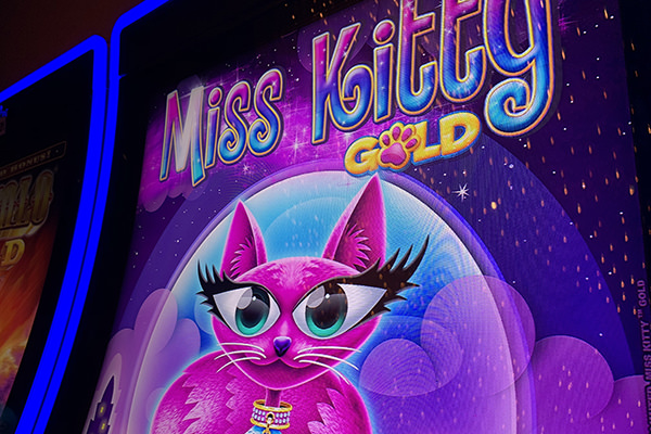 Miss Kitty Slots!