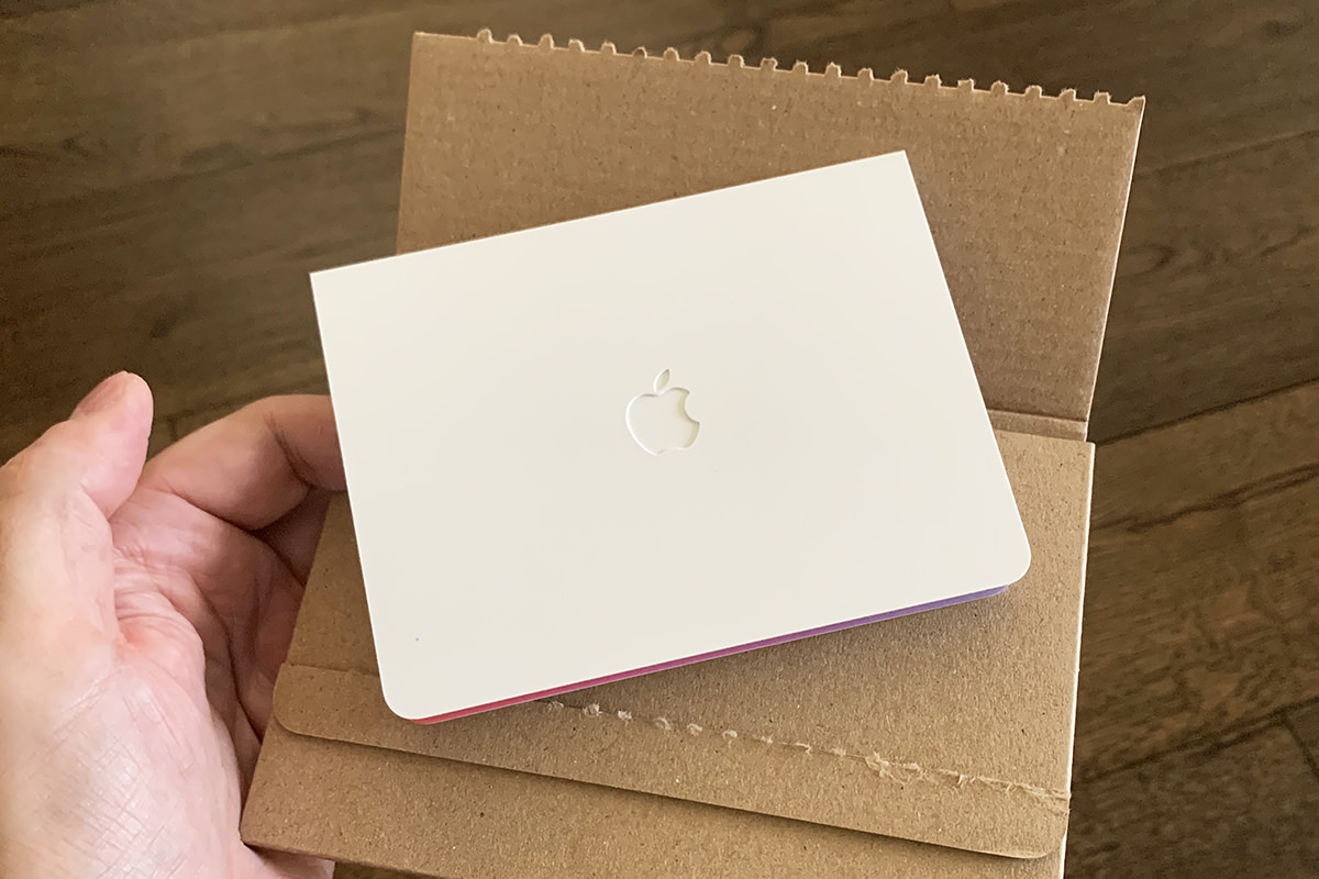 Inside the plain brown kraft envelope in an Apple-embossed folio.