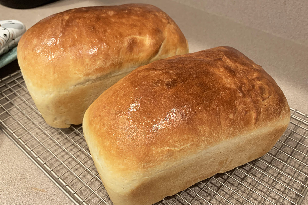 Two loaves of freshly-baked bread on a cooling rack.