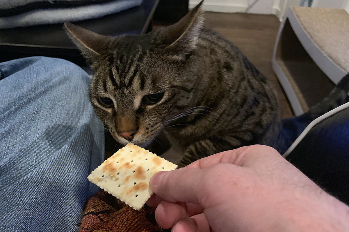 Jake Wants Crackers!