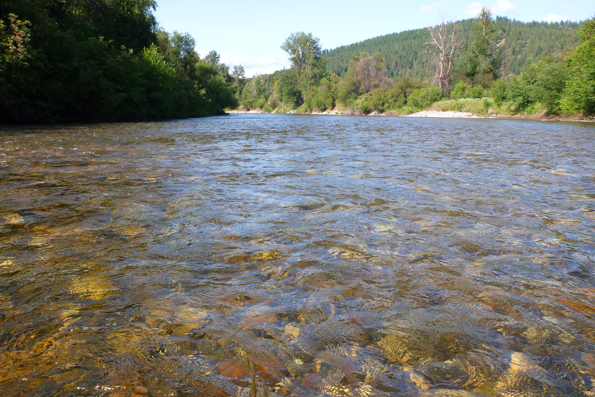 Me floatin' in very low waters!