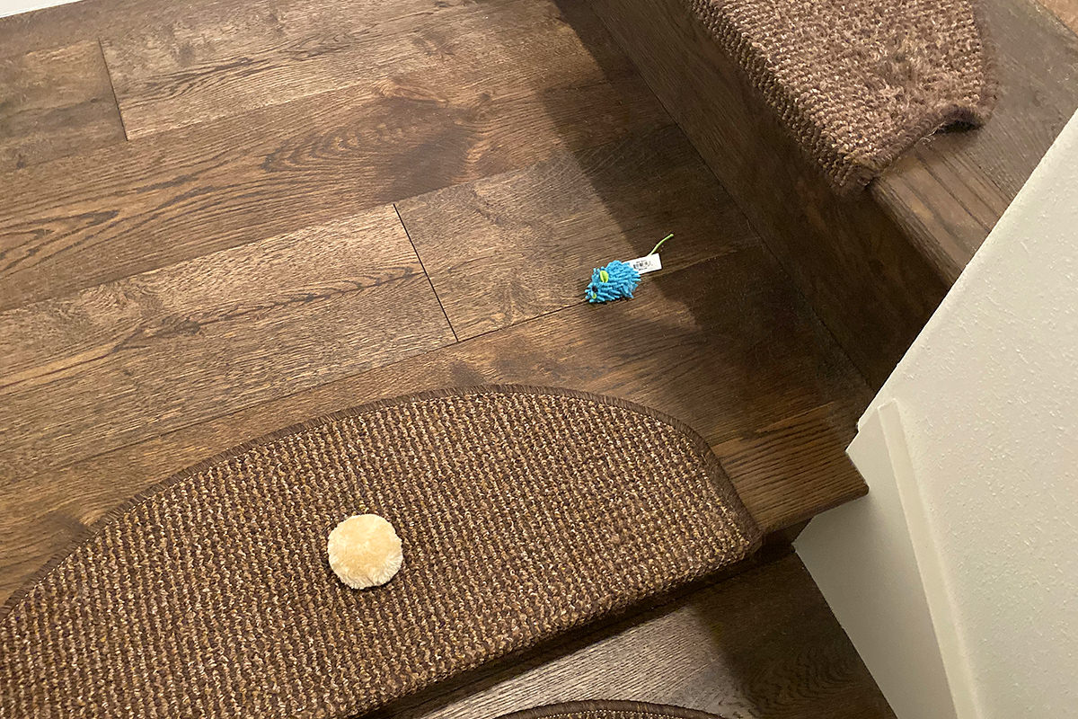 Blue Mouse and a Fuzzy Ball from the cat tree tower on my stairs.