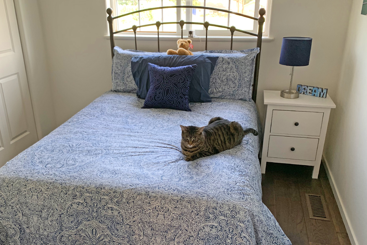 Jake on the Guest Bed