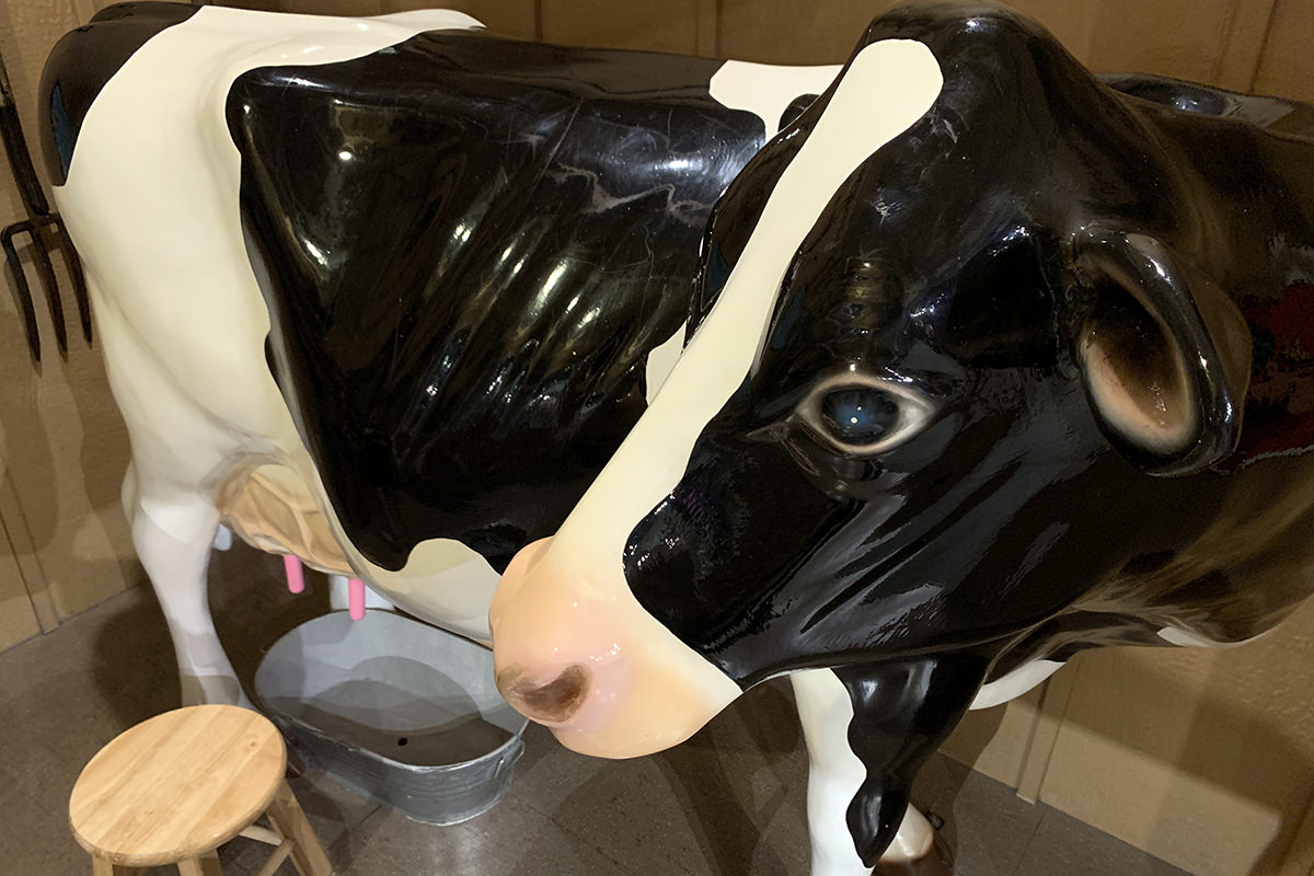 Imagine! Museum Milk a Cow