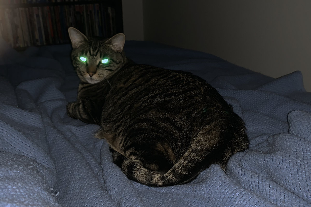 Jake Possessed!