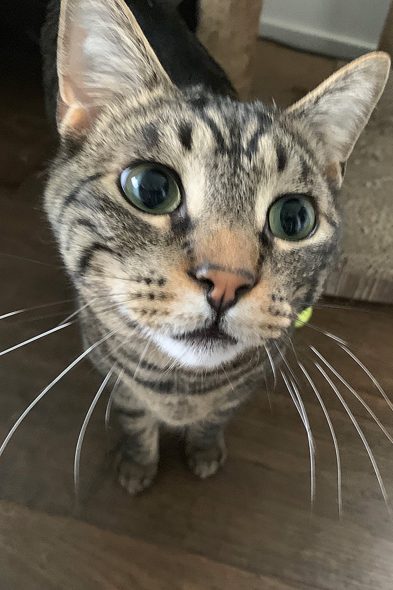 Jake and His Golf Ball!