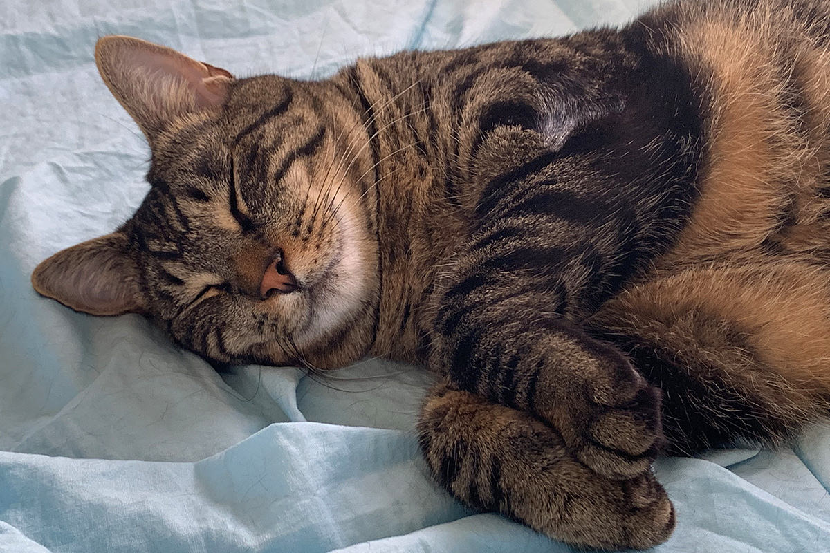 Jake smiling and happy while sleeping.