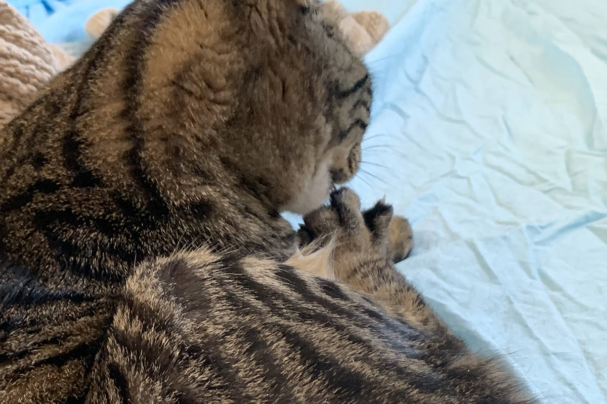 Jake giving himself a pedicure.