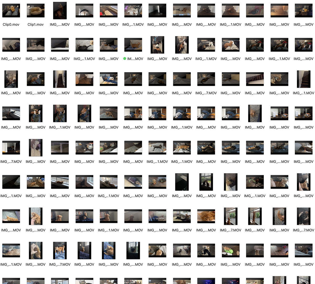 A Macintosh computer file screenshot showing dozens of video files.