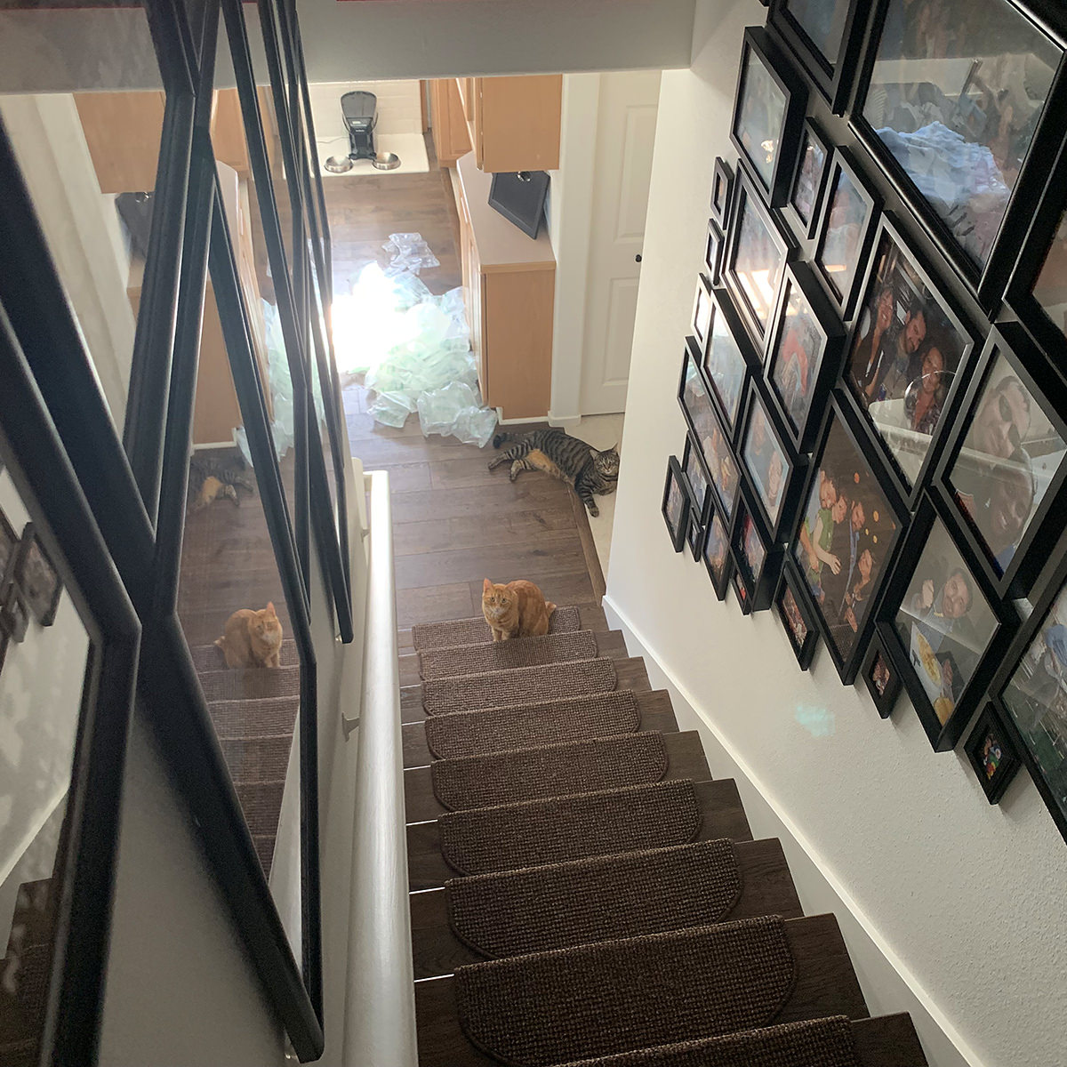 Jake and Jenny Waiting at the Bottom of the Stairs