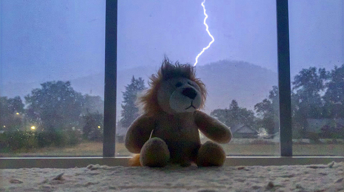 Mufasa the toy lion sitting in my window with a massive bolt of lightning firing behind him, illuminating the entire sky and my bedroom.