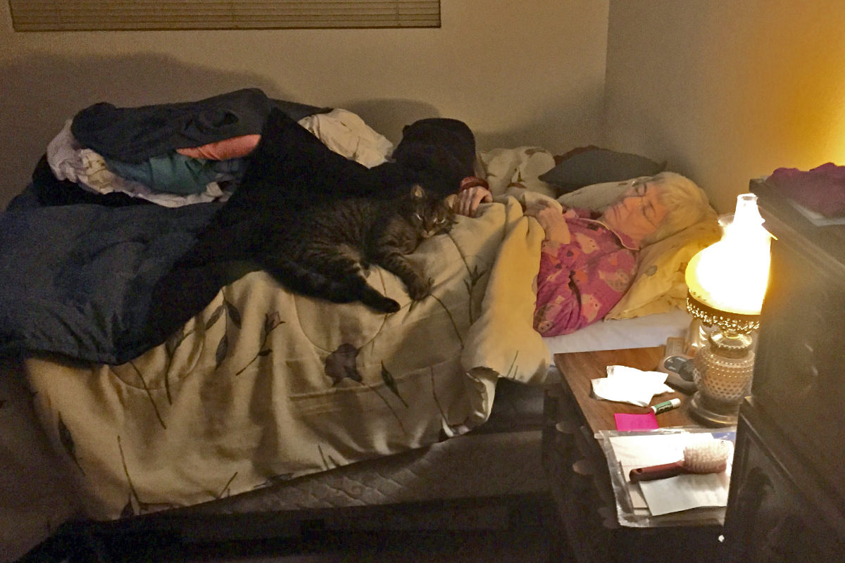 Mom Asleep with Spanky the Cat