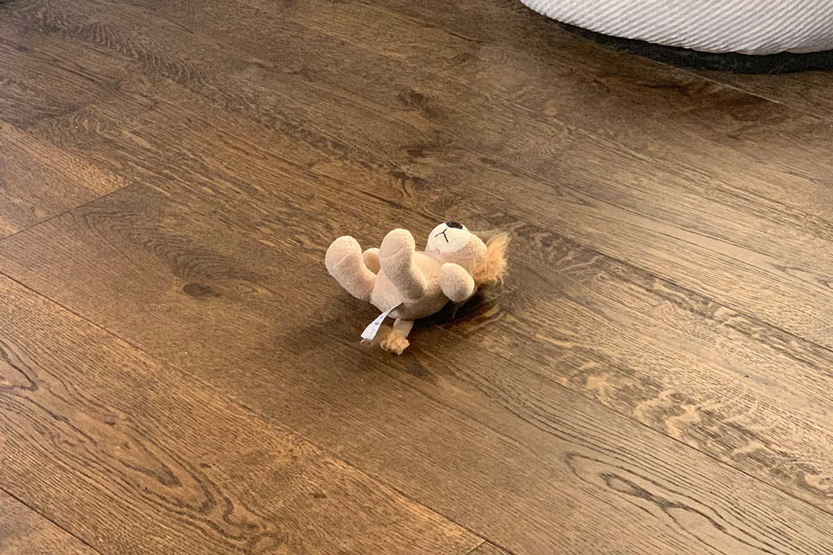 Mufasa the small plush toy lion laying on my brown hardwood floor.