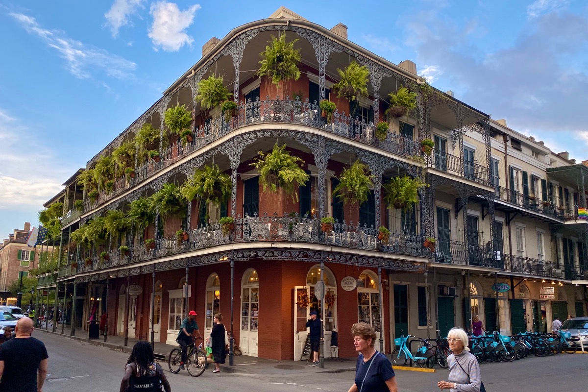 A photo of a beautiful New Orleans building with wrought iron railings and massive ferns hanging on the balconies.