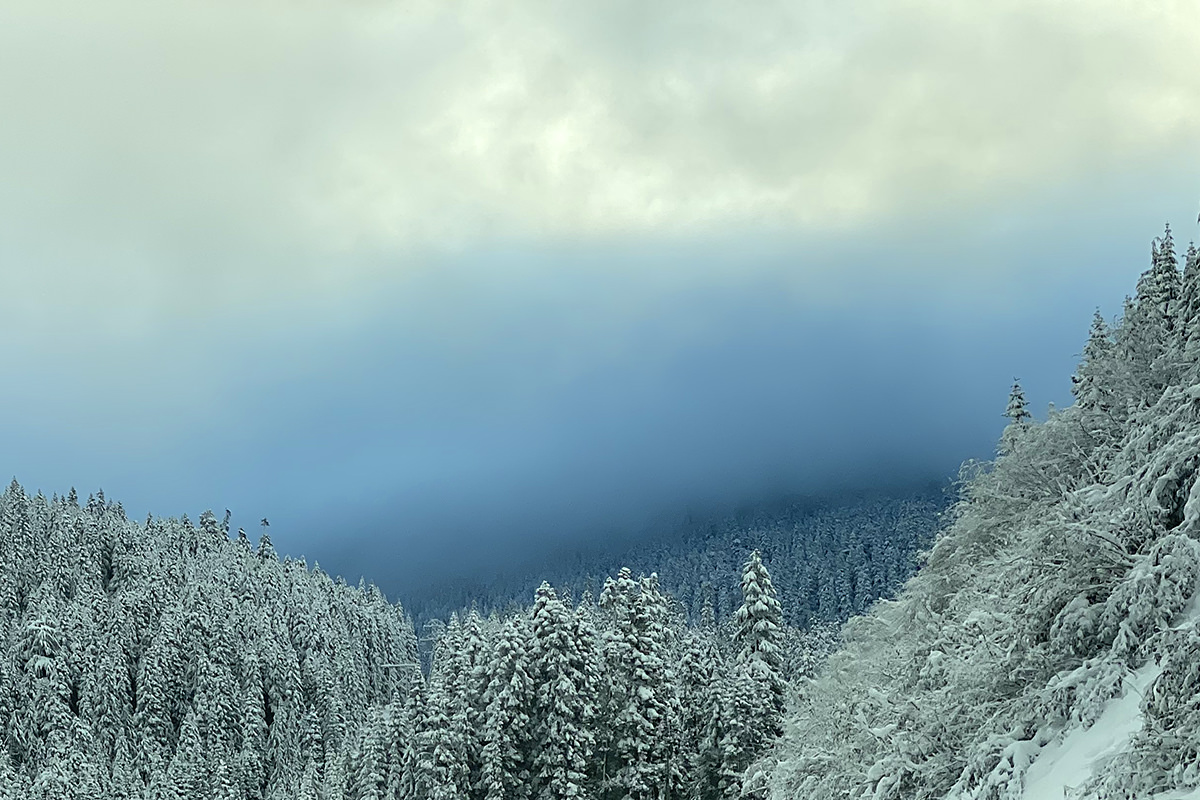 Driving through the mountains with snow-covered trees all around.