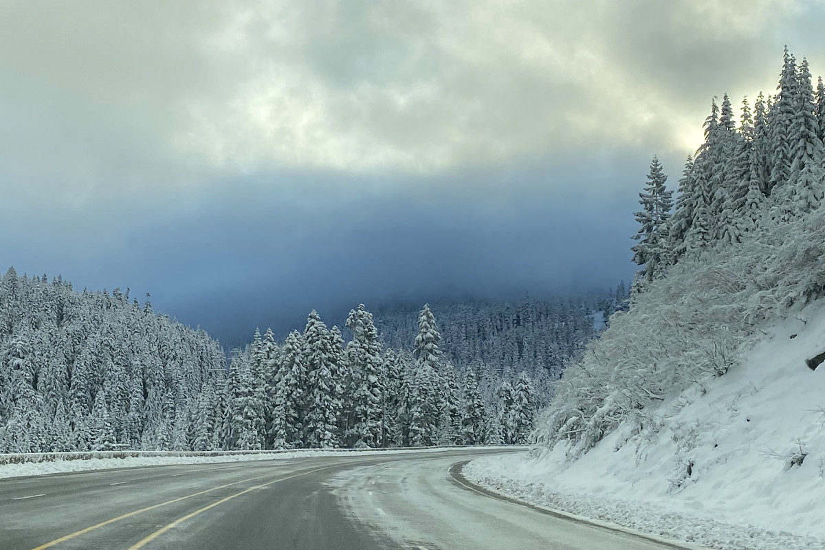 Driving through the mountains with snow-covered trees all around.