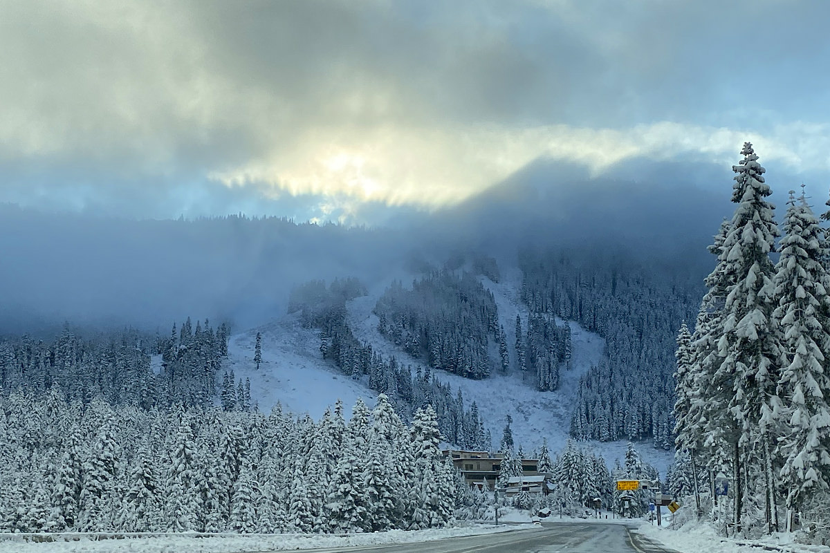 Driving through the mountains with snow-covered trees all around.