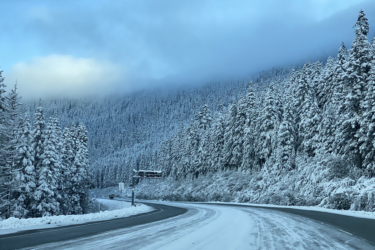 Driving through the mountains with snow-covered trees all around.