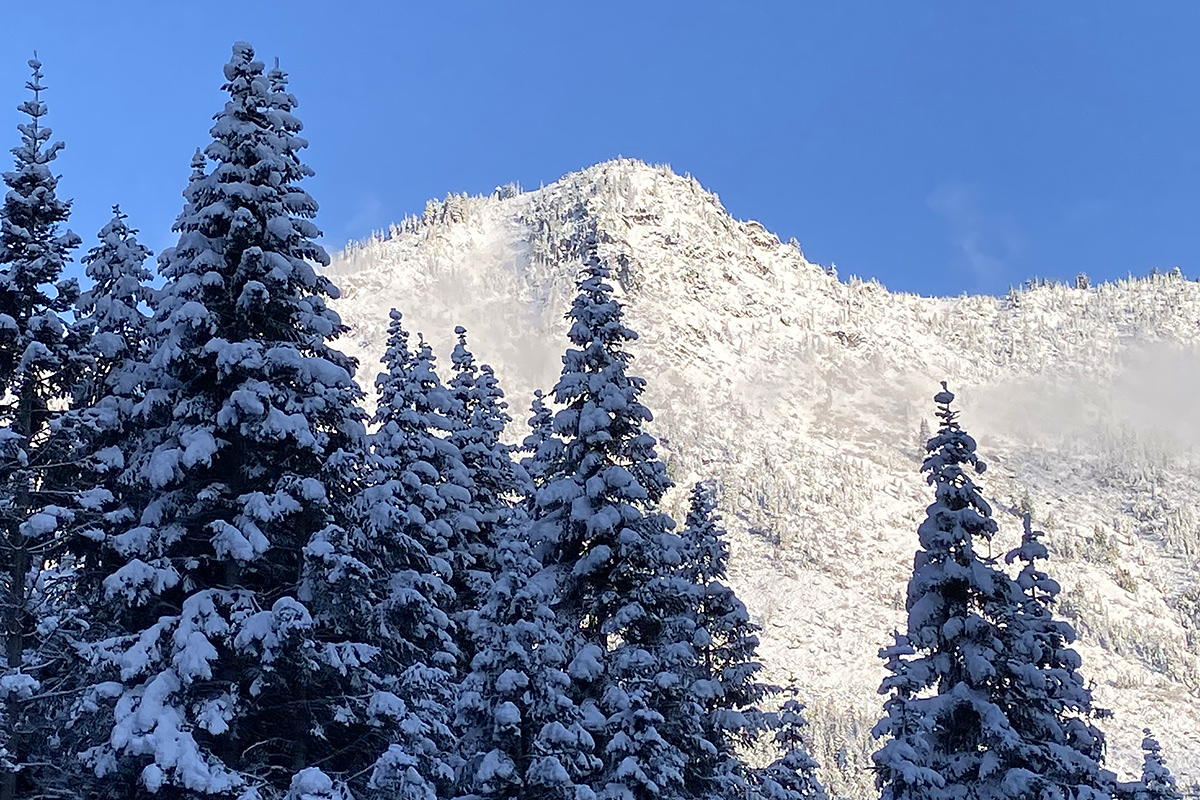 Driving through the mountains with snow-covered trees all around.