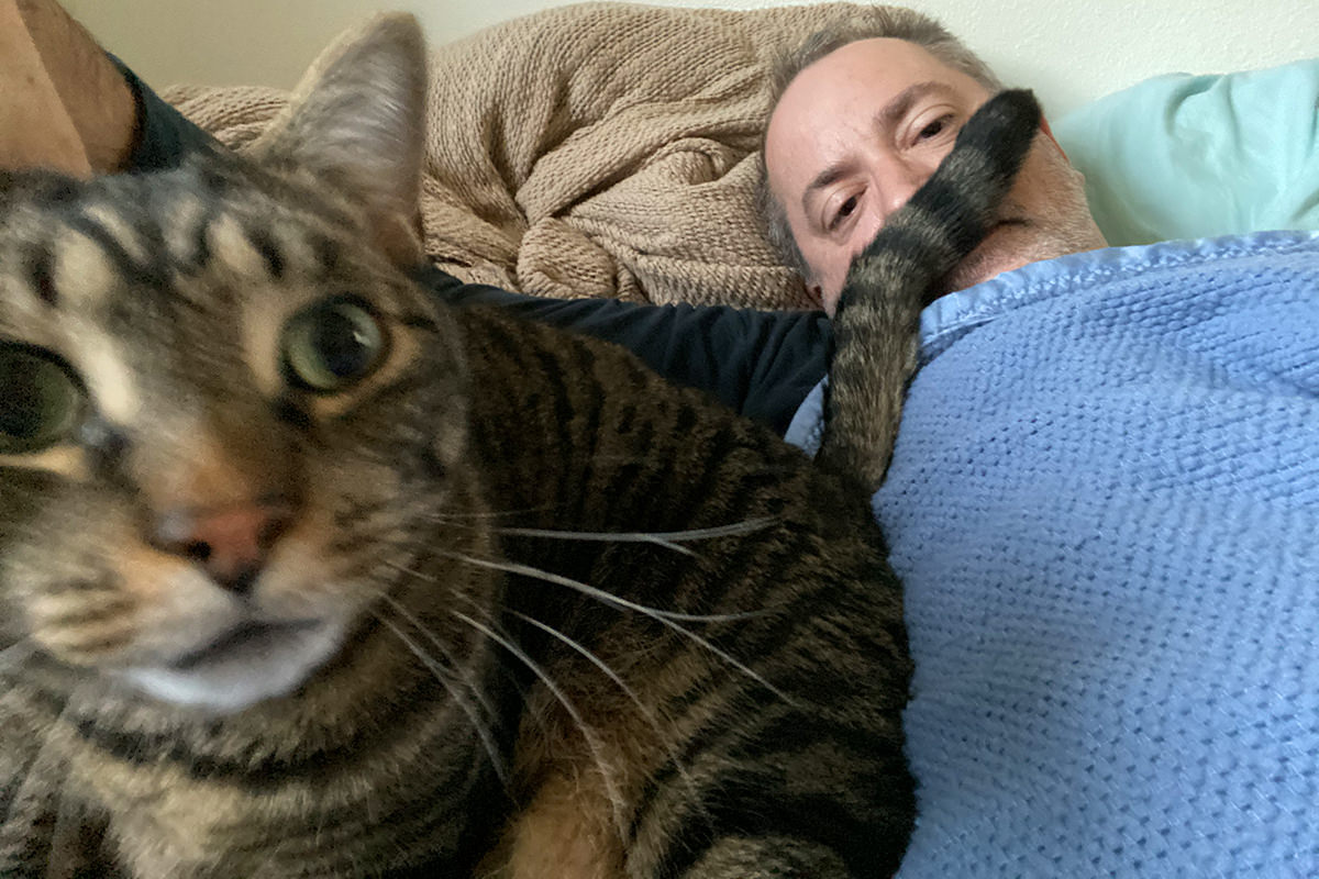 Me in bed with Jake, who is staring at the camera with his tail in my face under my nose like a giant mustache.