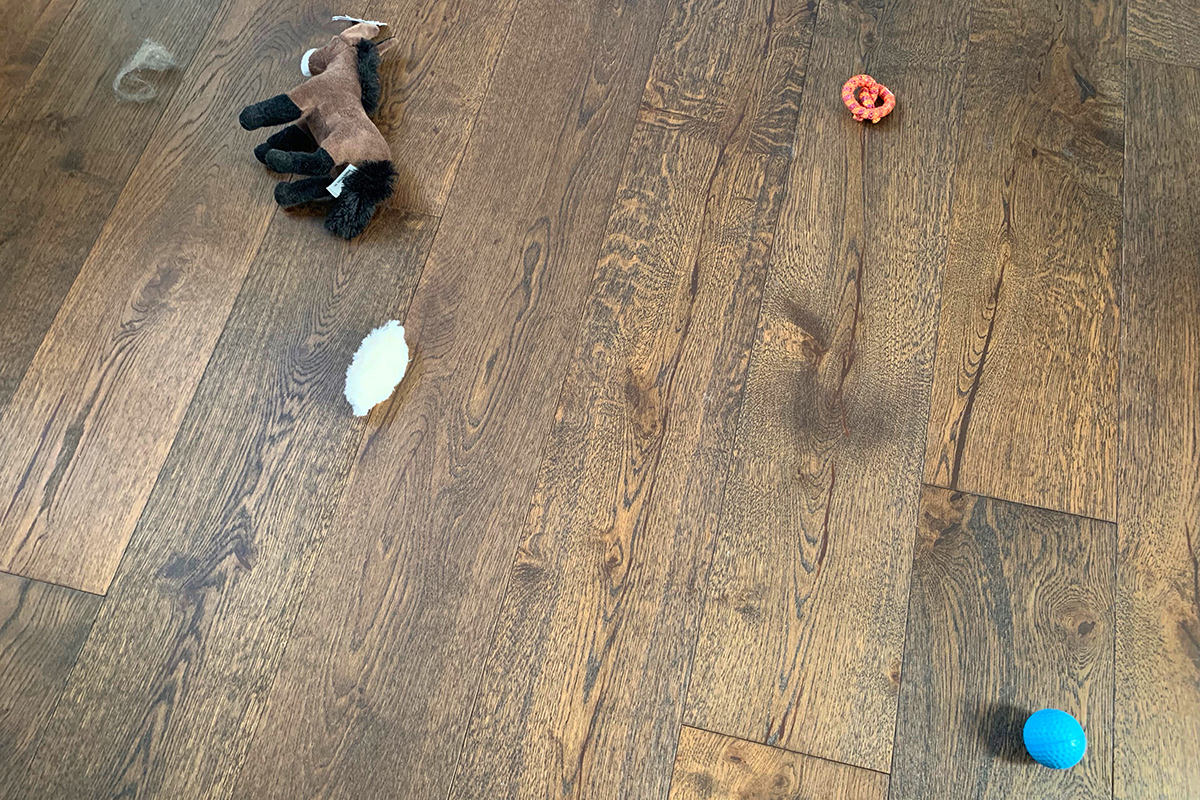 Cat toys and crap left on my bedroom floor.