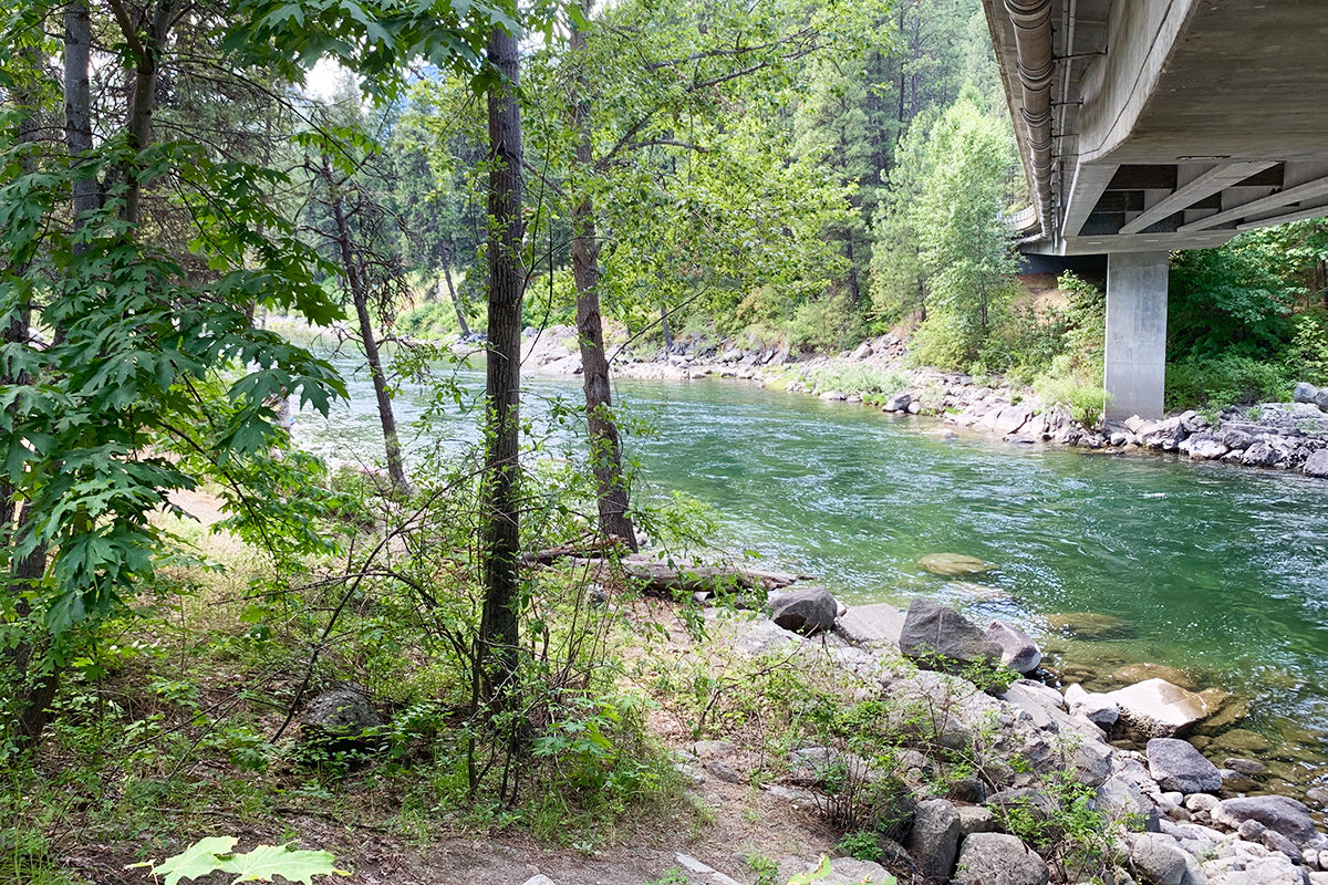 Floating Down the River