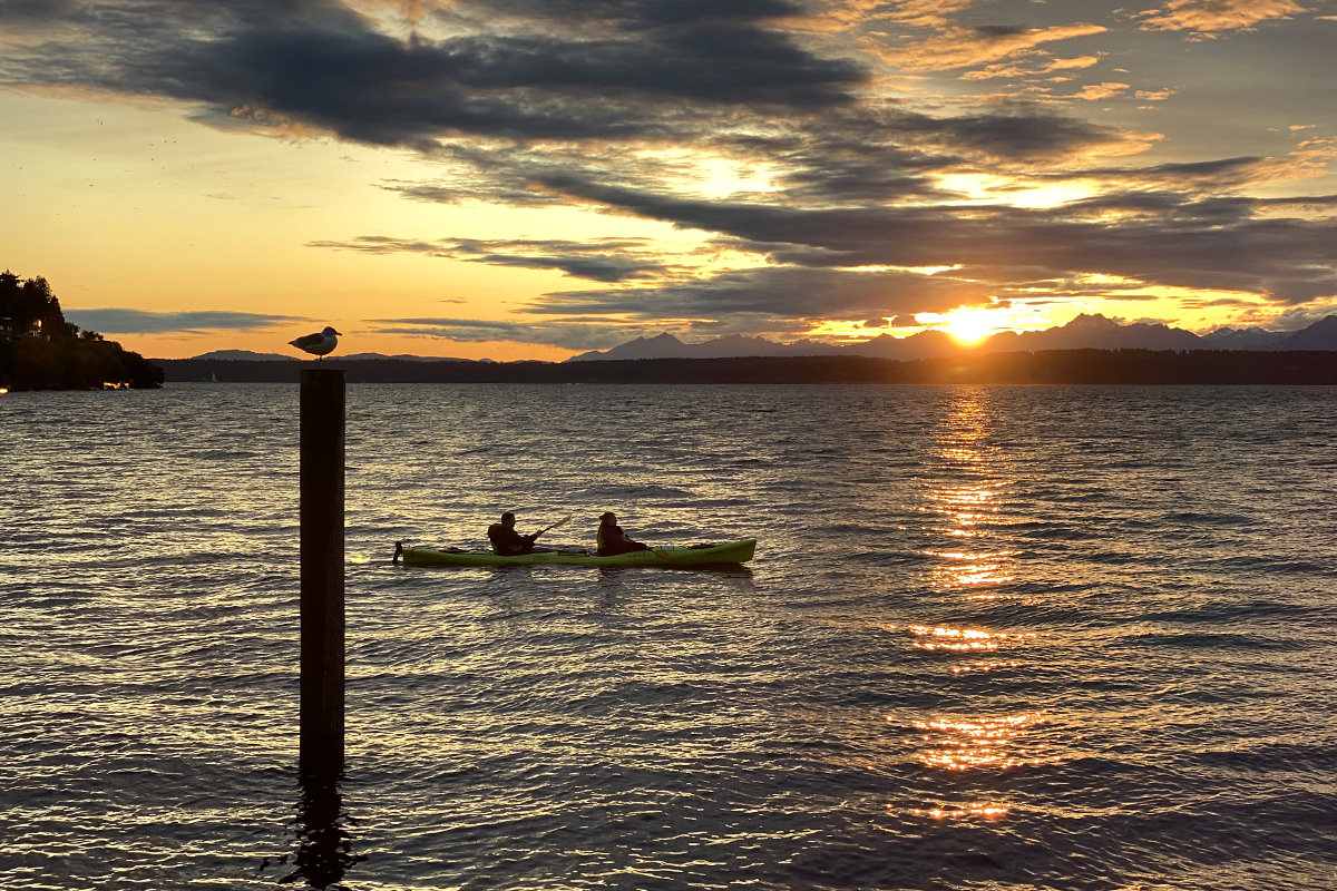 A shot of kayakers paddling in Elliot Bay at sundown while a bird watched from the top of a pole.