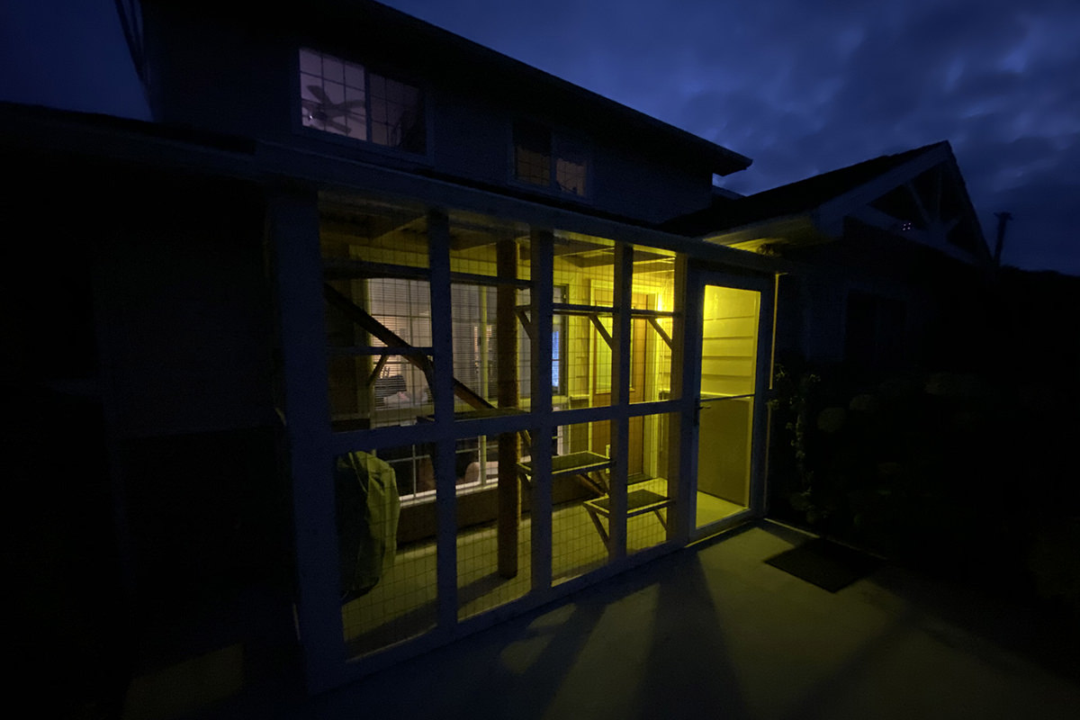 A photo of my catio encloser at night. The sky is glowing with a deep blue hue, illuminated by the moon, and a yellow light serenely glows inside the catio.