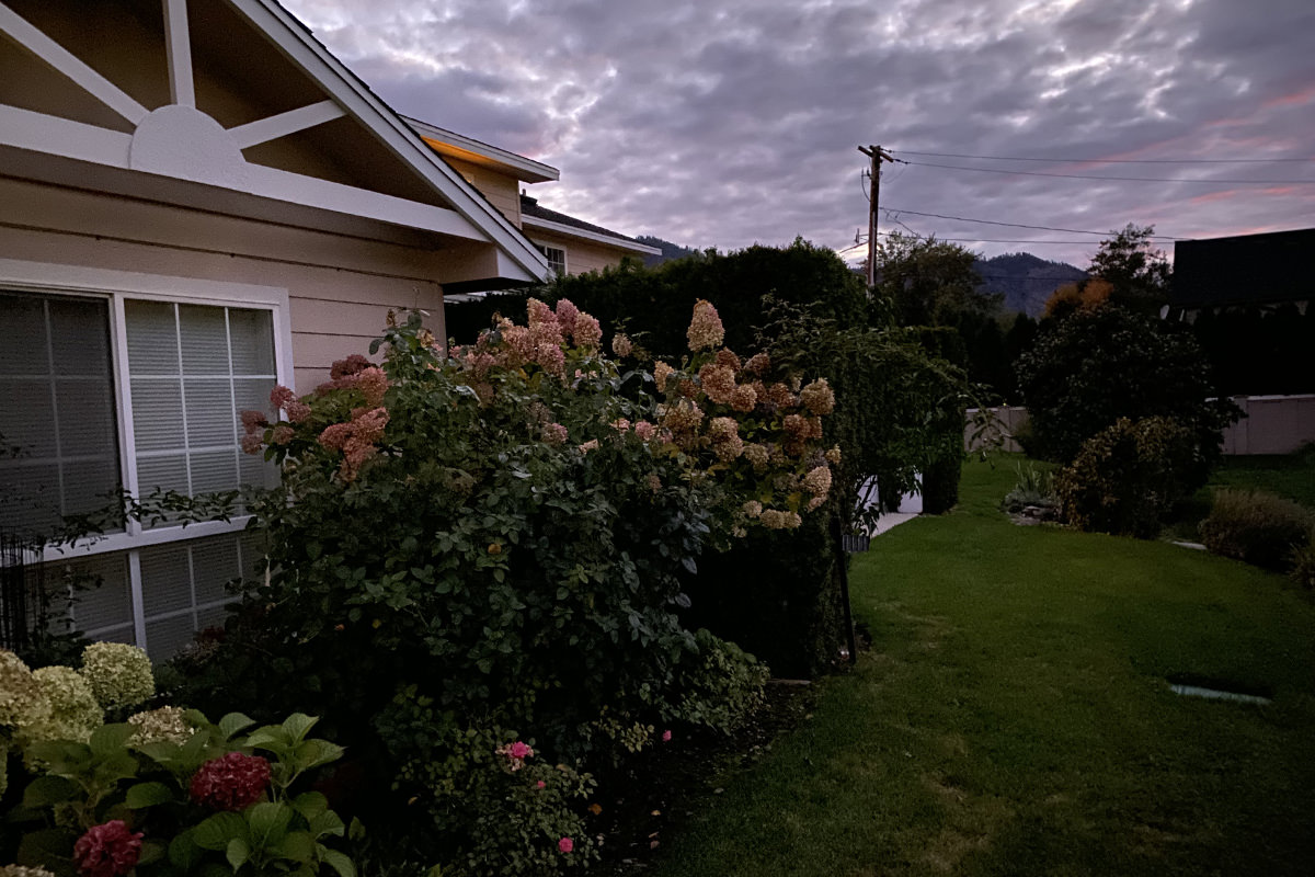 A photo of my back yard with far more detail visible, thanks to Night Mode.