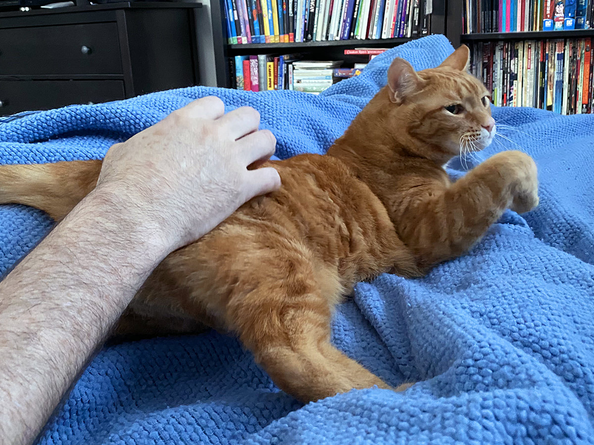 Jenny getting butt scratches in bed.