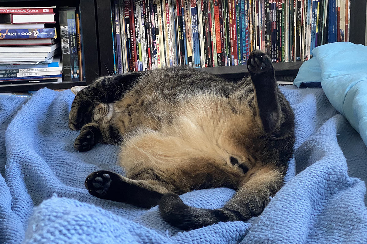 Jake flopped on the bed all spread out.