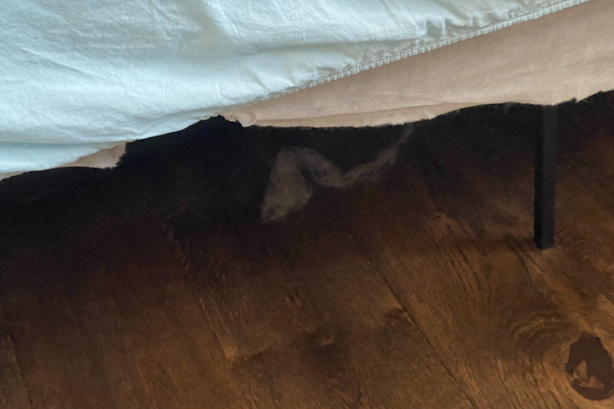 A shadowy shape under my bed resembling a snake.