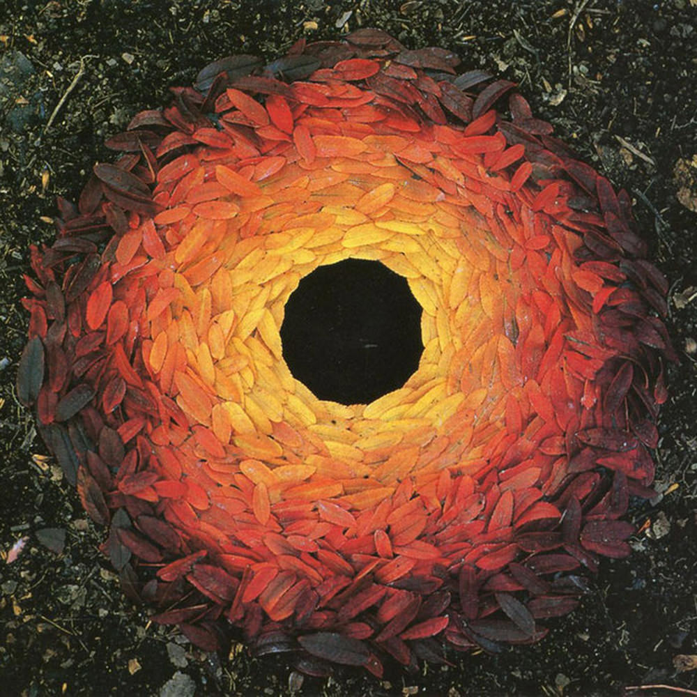 Leaves spiraling in a circle from brown to red to orange to yello.