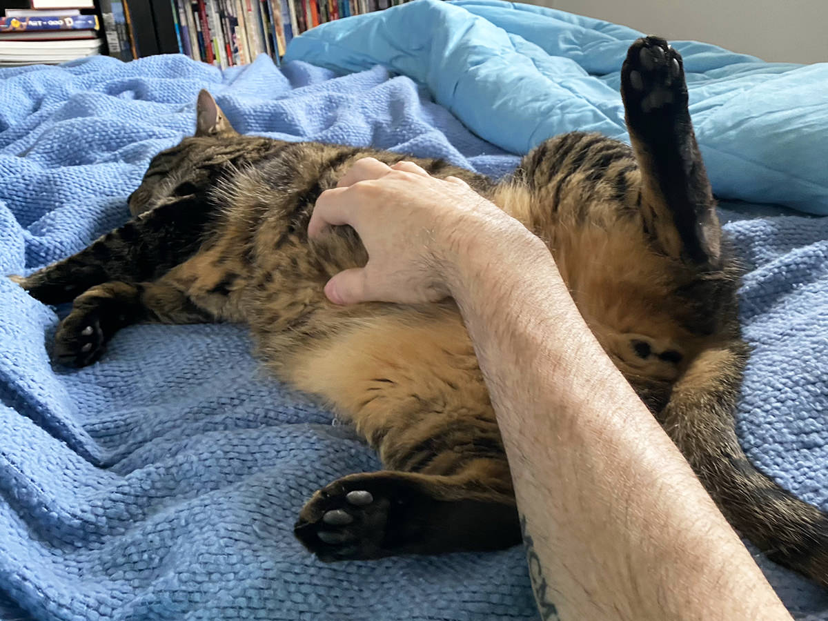 Jake getting a belly rub while sleeping.