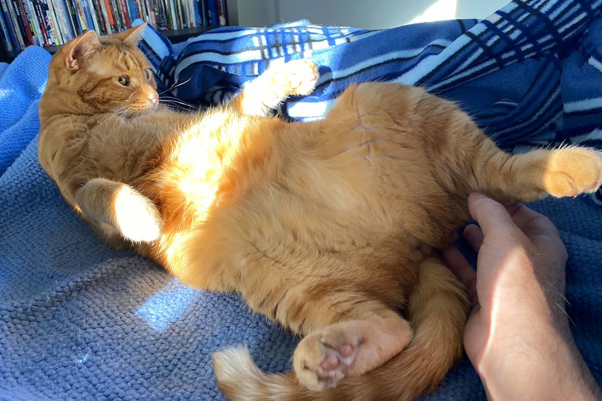 Jenny flopped on her back and rolling around on the bed.