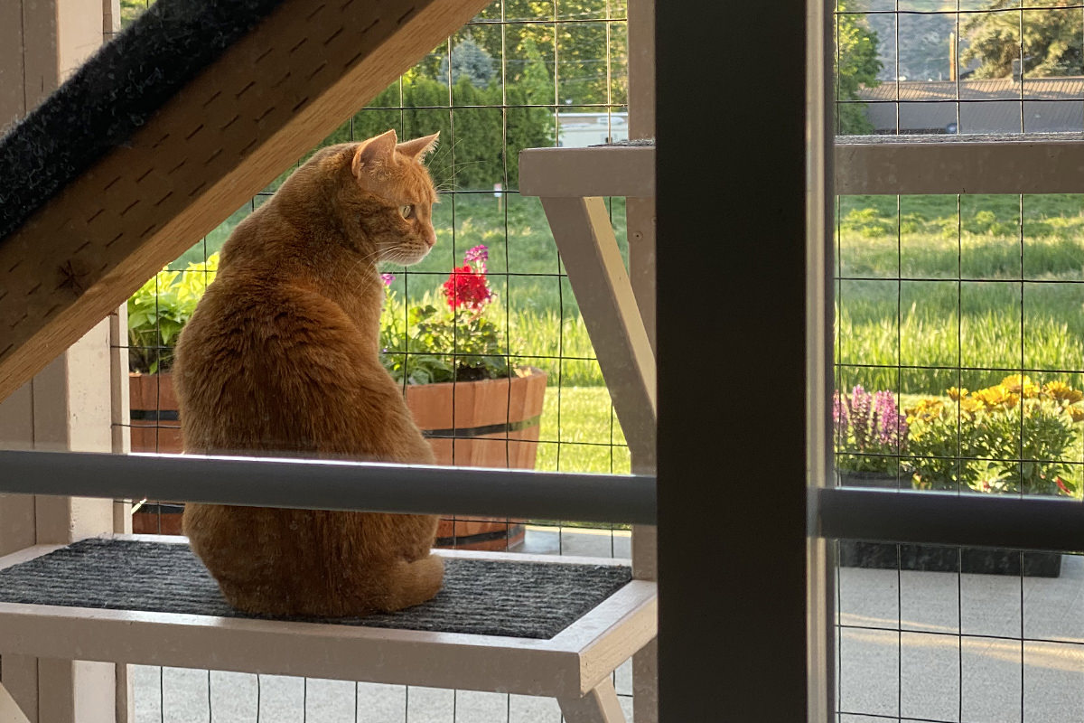 Jenny looking out from the catio to the flowers planted on the patio.