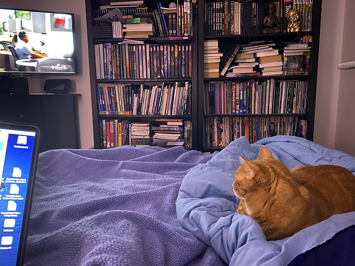 Jenny laying down, still watching television.