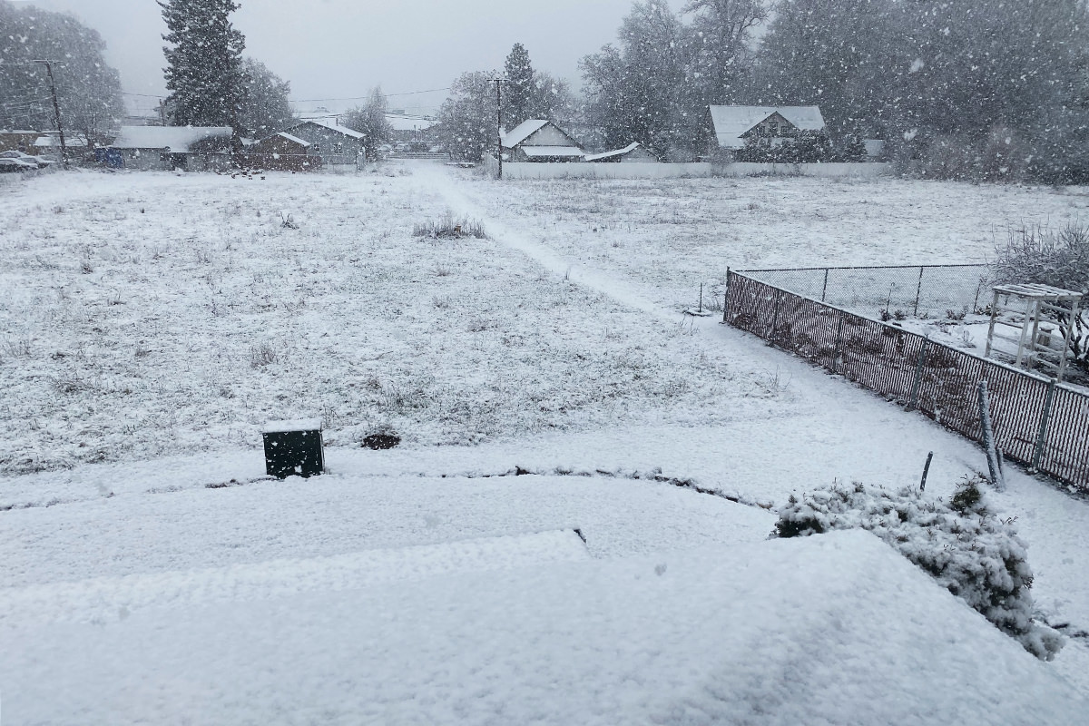 A shit-load of snow falling outside my bedroom window.