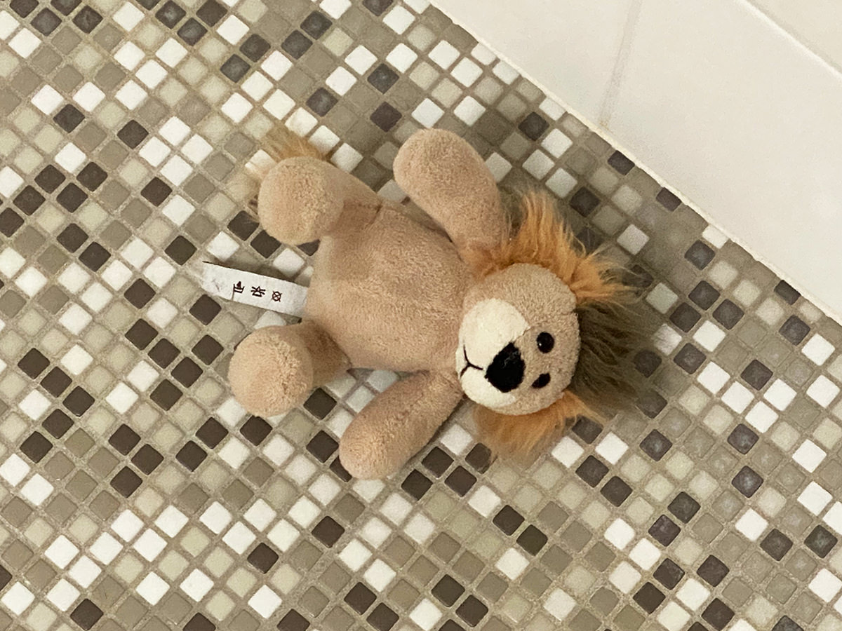 Mufasa, Jakes small plush lion toy, laying in my shower.