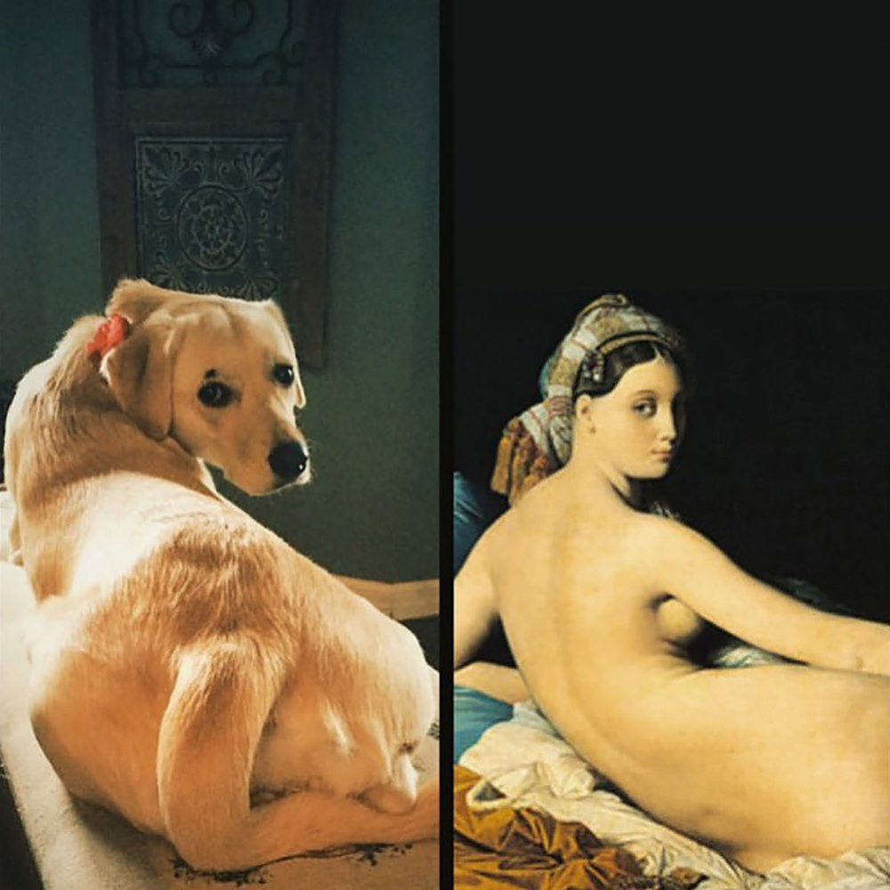 A dog reclining like a portrait of a nude woman.