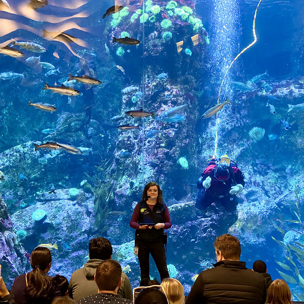 A woman standing in front of a massive fish tank with a diver inside giving a lecture to a group of people.