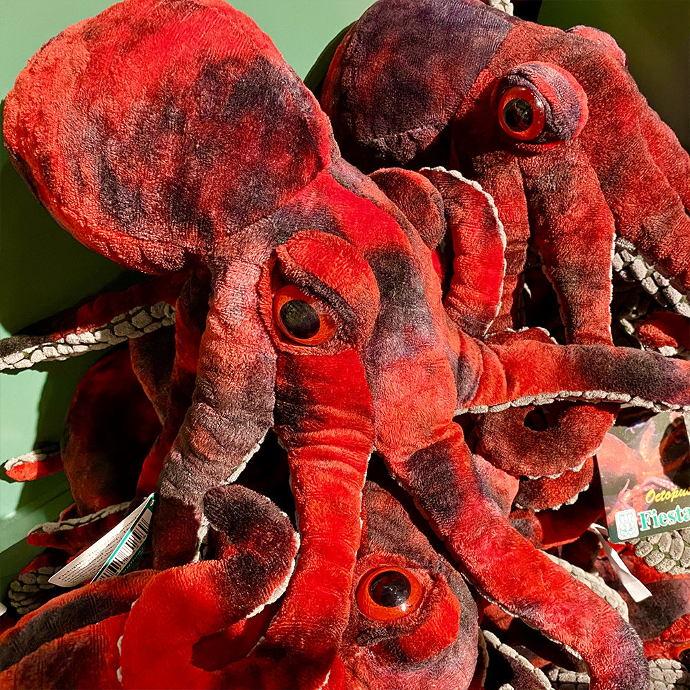 A toy octopus that's a brilliant red color from the aquarium gift shop.